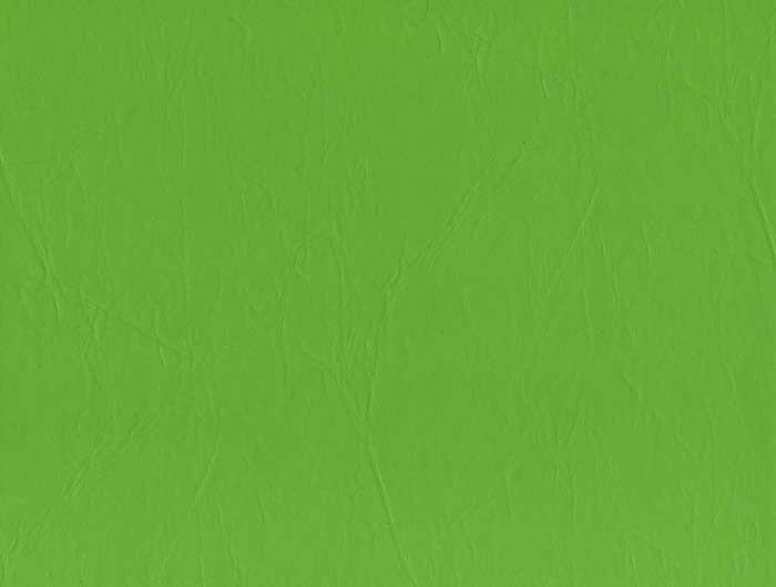 padskinz-lime-green